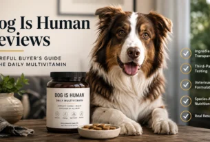dog is human reviews: A careful buyer’s guide to the daily multivitamin